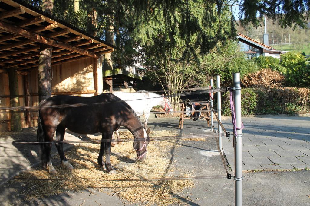 Ferienhaus Kleiner Onkel Honerath Exterior foto