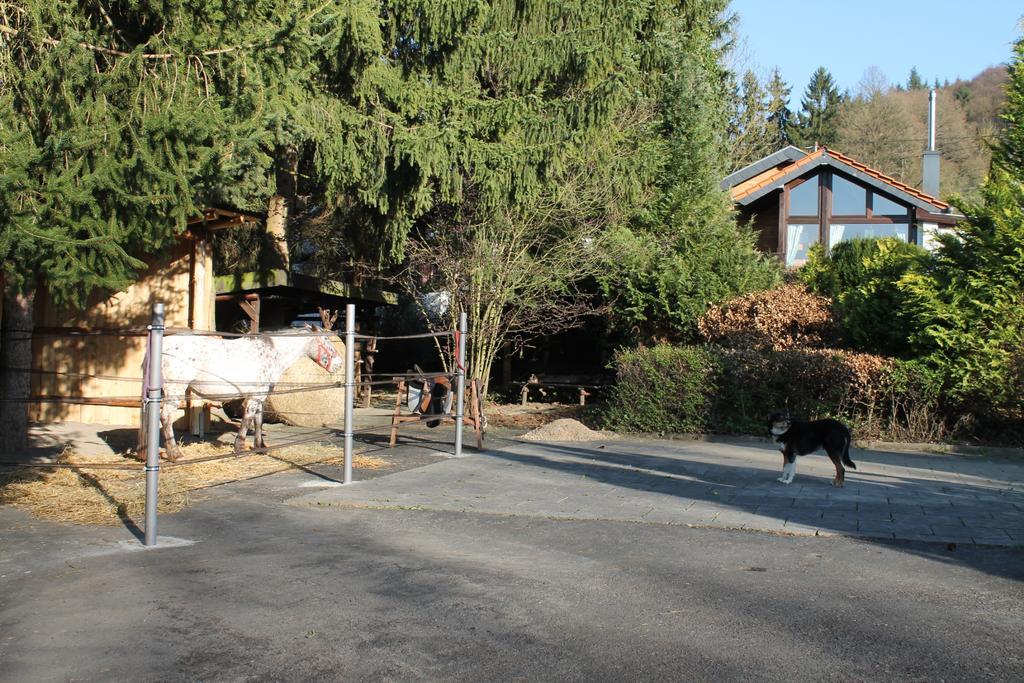 Ferienhaus Kleiner Onkel Honerath Exterior foto